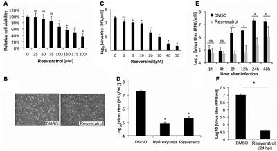 Suppression of <mark class="highlighted">Poxvirus</mark> Replication by Resveratrol